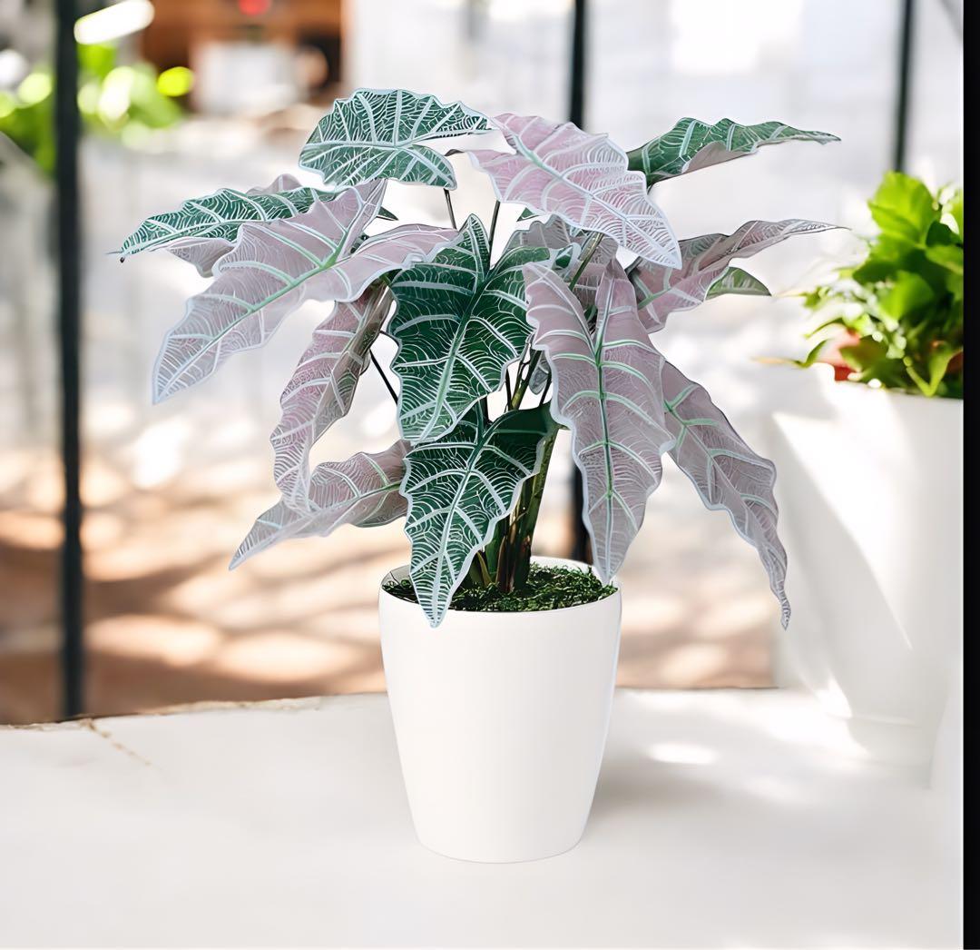 光触媒　人工観葉植物　ウォールグリーン　フェイクグリーン　２色アローカシア 50