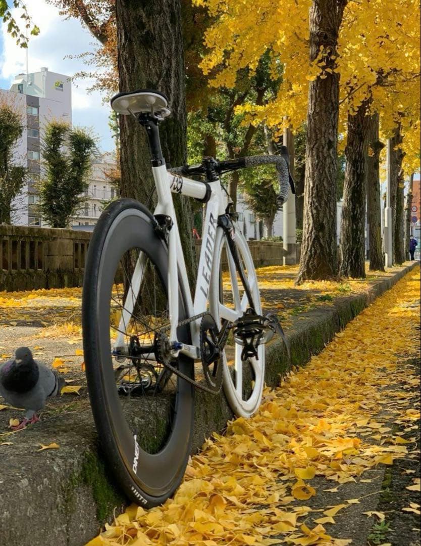 【フルカスタム】リーダーバイク LEADER BIKE 735