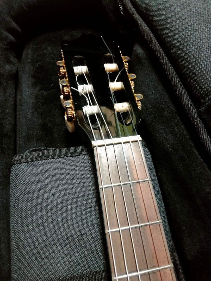 Ibanez エレガット エレガットギター アイバニーズ