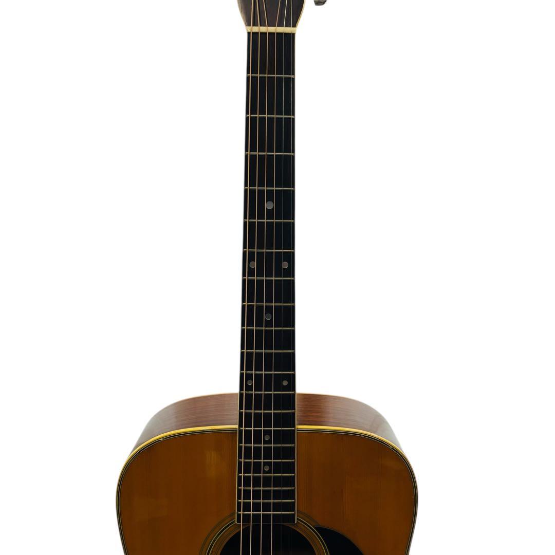 Morris アコースティックギター 中古品