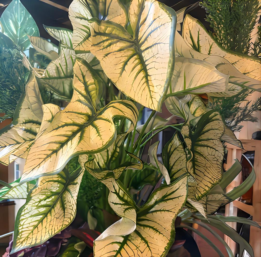 光触媒　人工観葉植物　ウォールグリーン　フェイクグリーン　カラジュームアレンジＷ