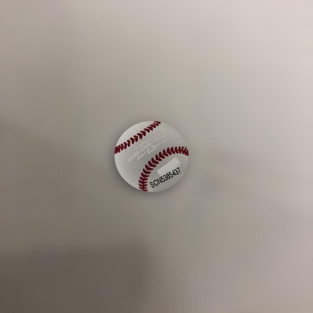 M0317-10 非売品★2025 ドジャース ファンクラブ特典 大谷翔平