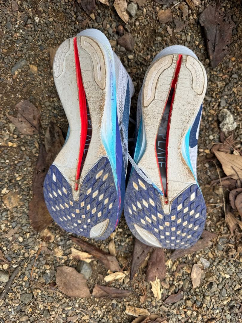 NIKEストリークフライ2 25cm