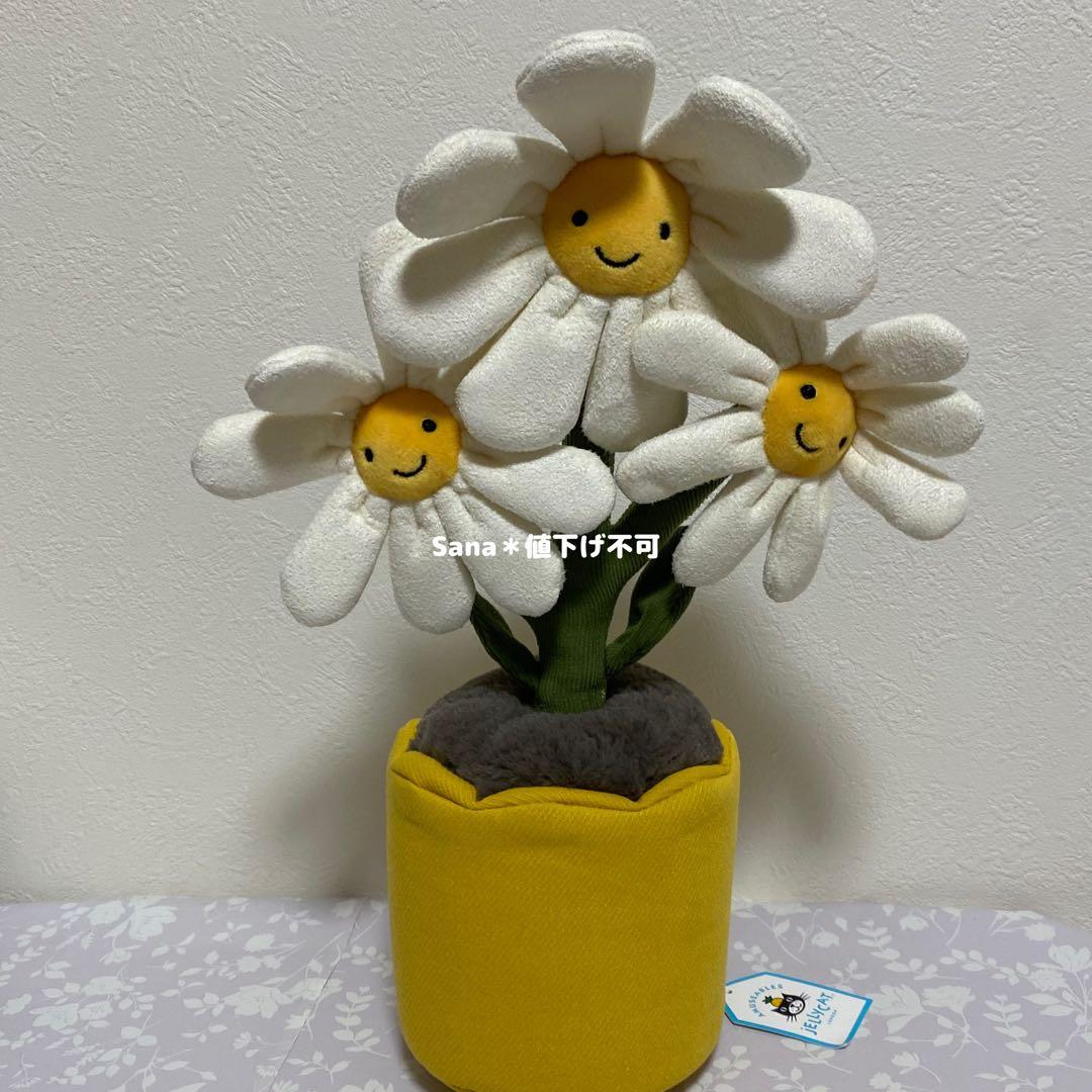 新品　ジェリーキャット　デイジー　花　観葉植物　インテリア　雛菊　ヒナギク