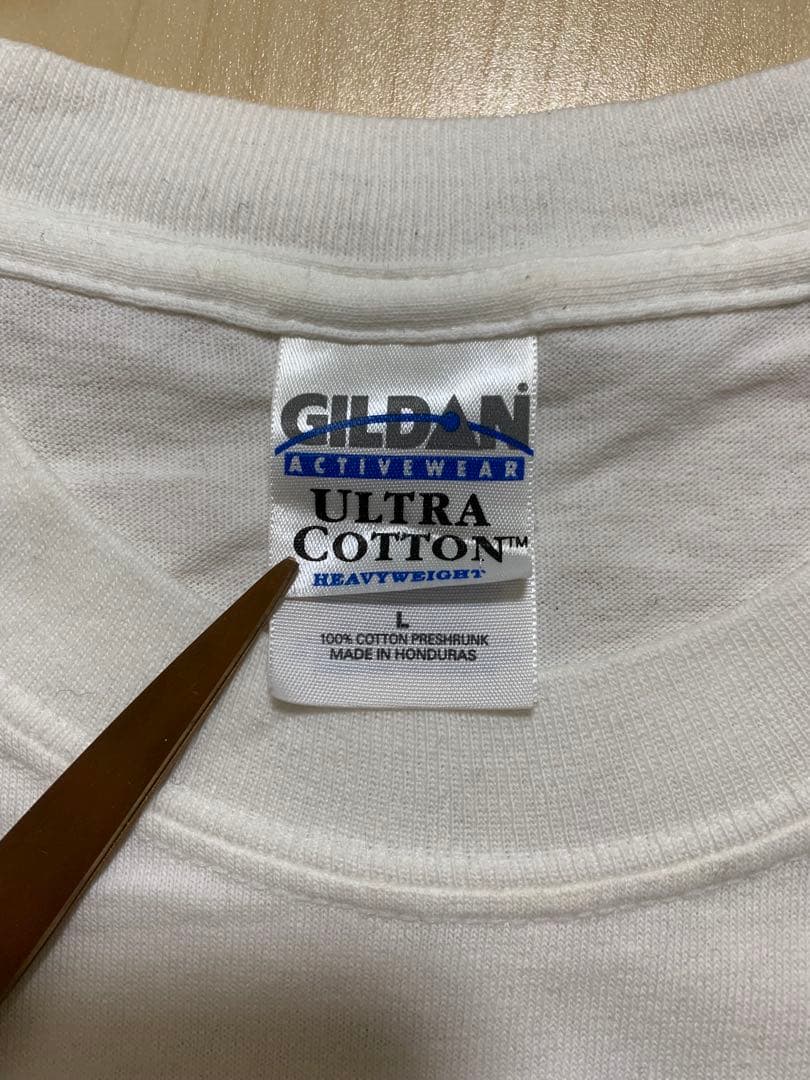 BRAHMAN 海外ツアーTシャツ GILDAN Lサイズ