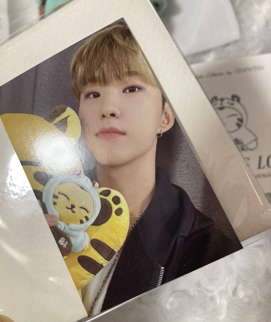 SEVENTEEN ホシHOSHI TAMTAM アーティストメイド　キーリング