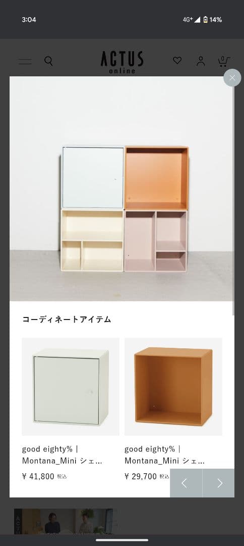 Montana Mini シェルフ 1001 ミント
