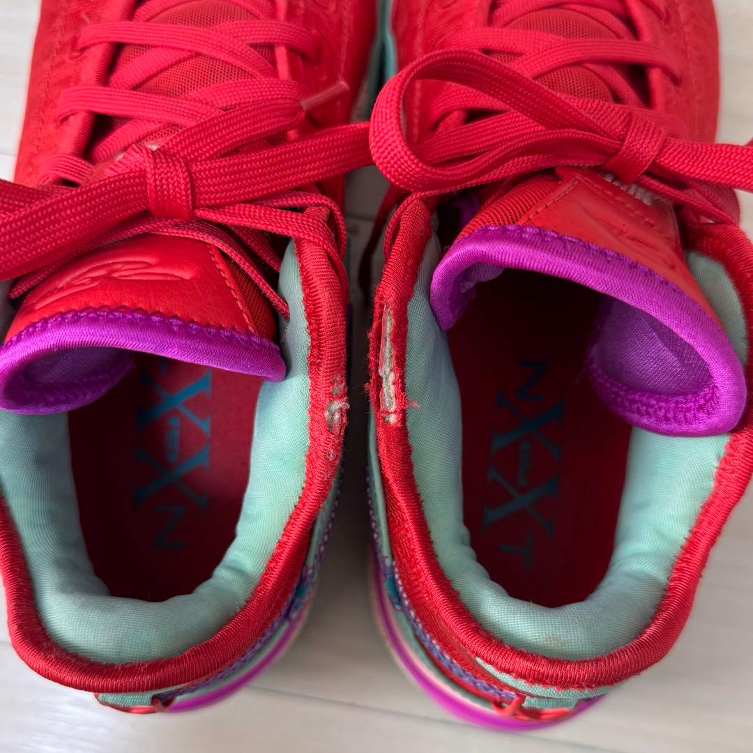 nike レブロン NXXT GEN EP 24.5
