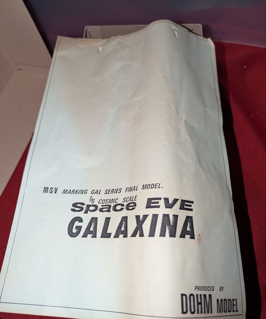 ジャンク ガレージキット Space EVE GALAXINA ザクレディ