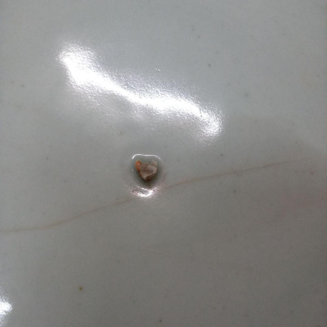 青白磁 風景画 平皿　大皿