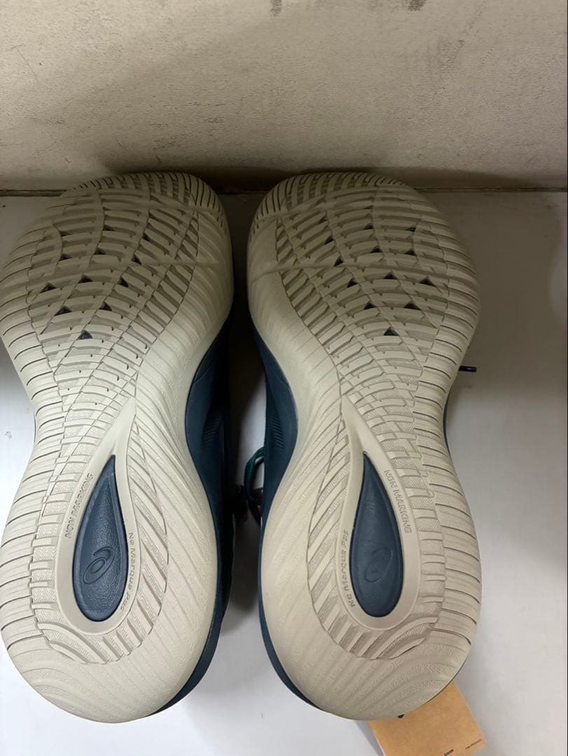 NOVA SURGE LOW 2 300カラー 25.0㎝