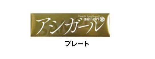 【アシガール】A4プレミアム・アウトレットキャラファイングラフ