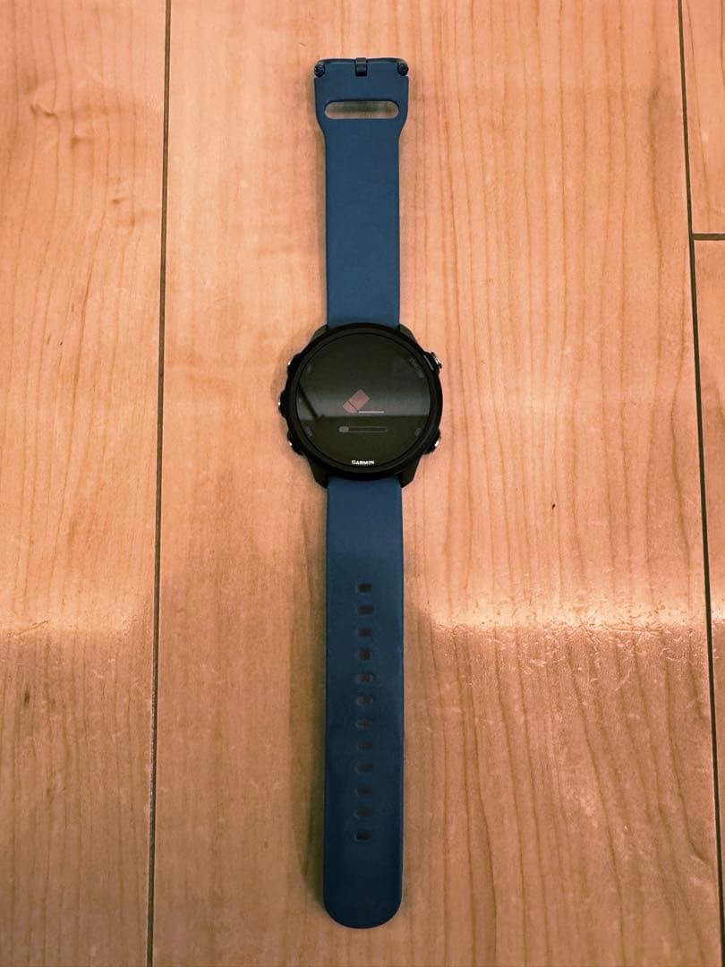 【美品】ガーミン245 Garmin おまけ多数【2024.8】