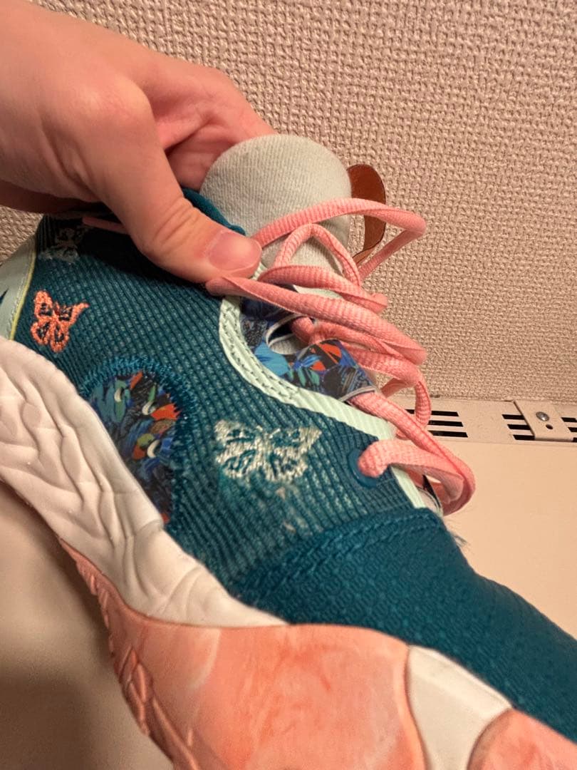 PG6 希少限定モデル