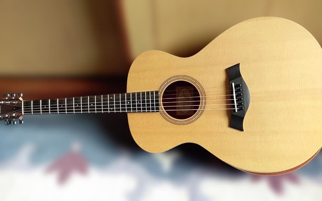 最終値引き【美品】Taylor Academy 12e　新品ギグケース