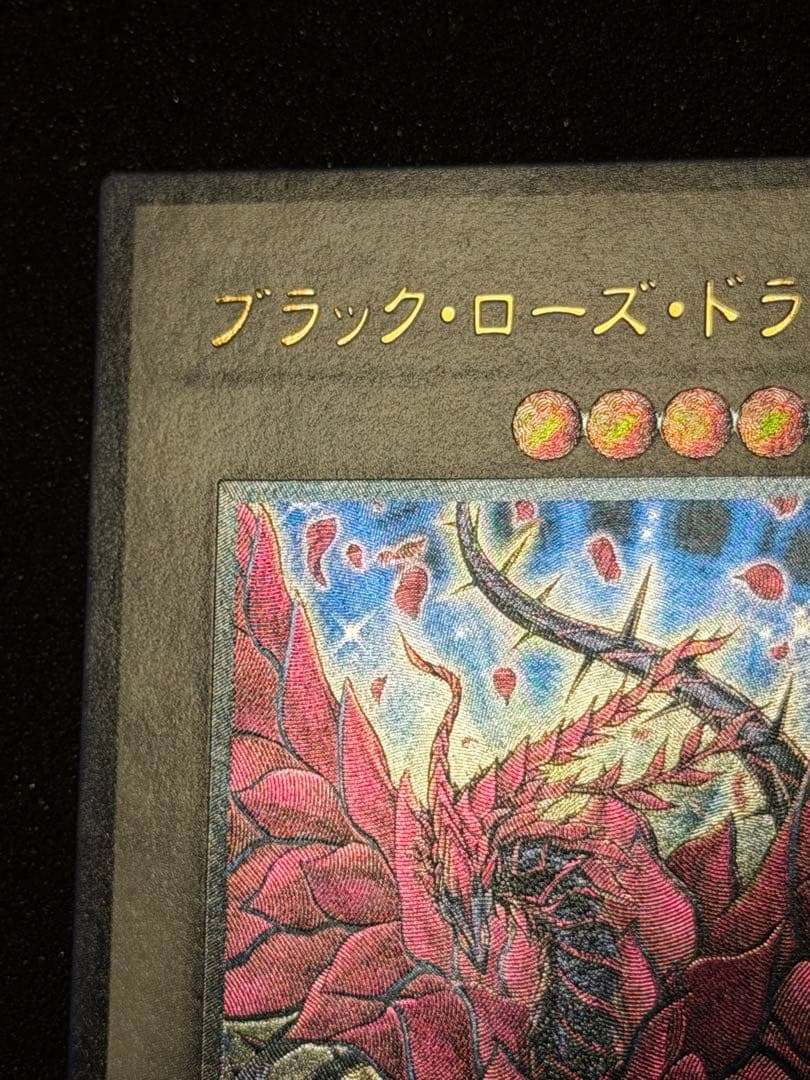 【超極美品】ブラック・ローズ・ドラゴン レリーフ