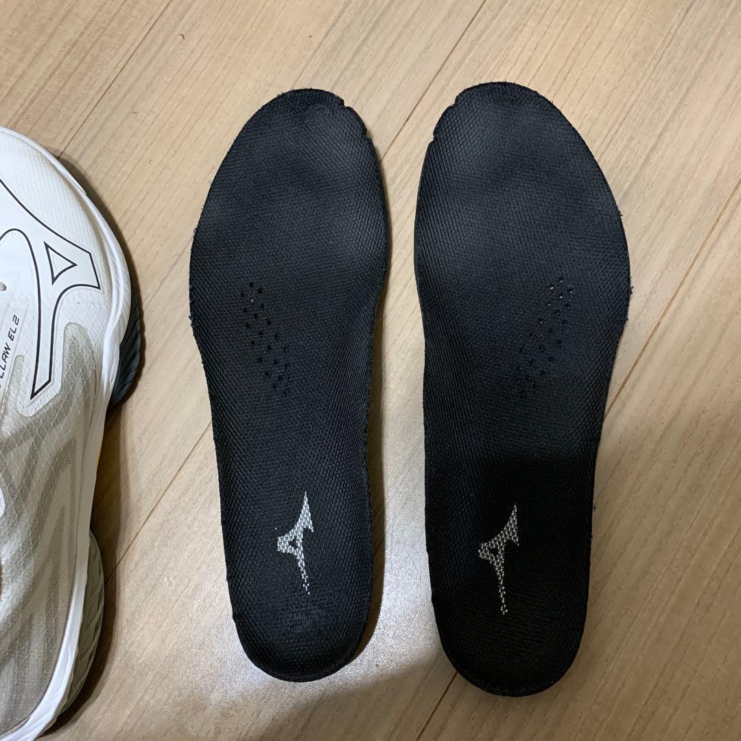 Mizuno Wave Drive 8 バドミントンシューズ　25.5cm