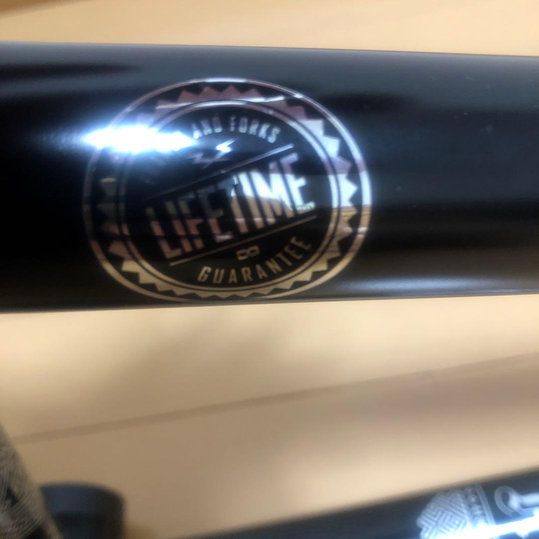 ＢＭＸフラットランドフレームWTP 未使用