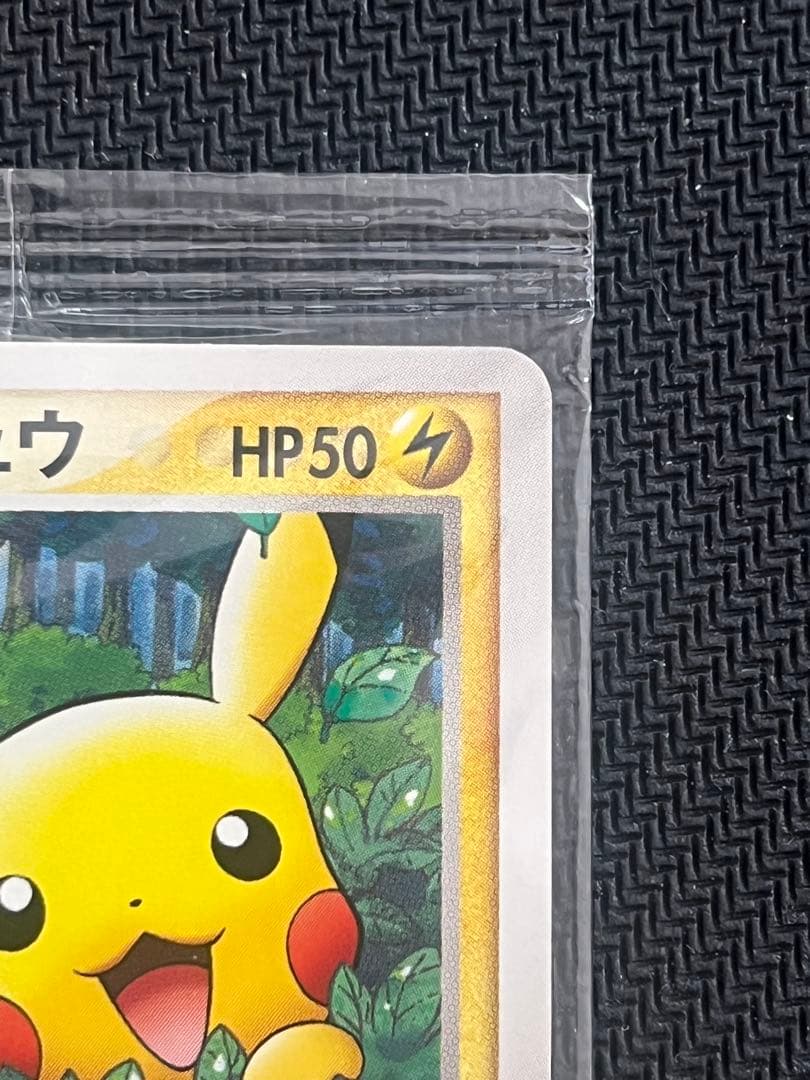 ポケパークのピカチュウ 043/pcg-p