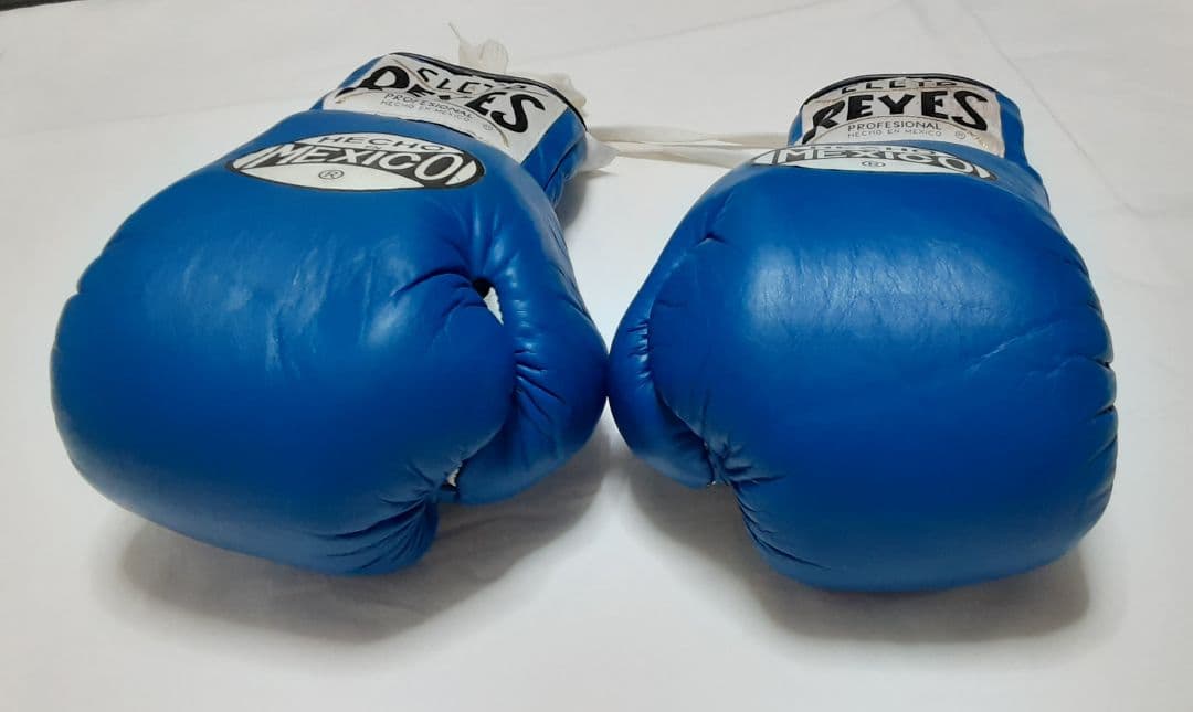 希少！Cleto Reyes ボクシンググローブ　8オンス 青　レイジェス