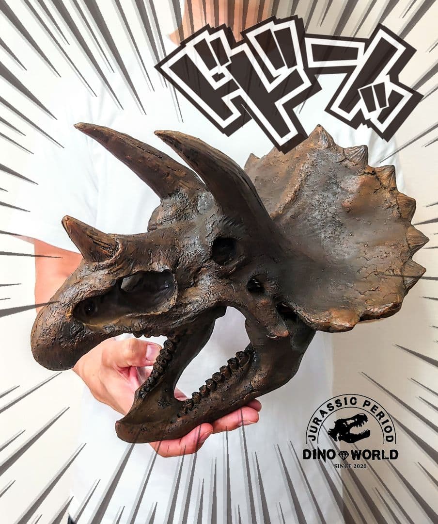 【2個セット】 ティラノサウルス トリケラトプス 頭骨 化石 レプリカ