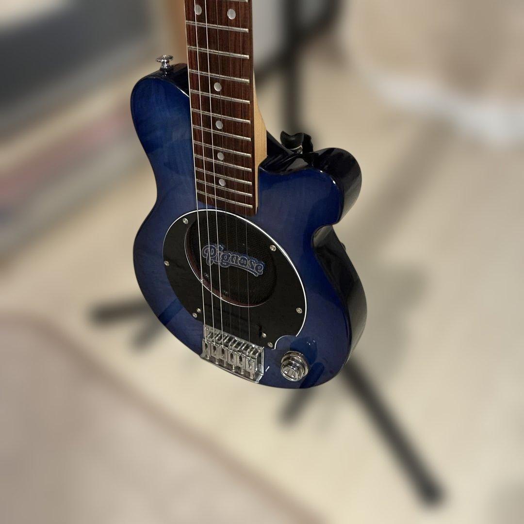 ピグノーズPGG200 ブルー