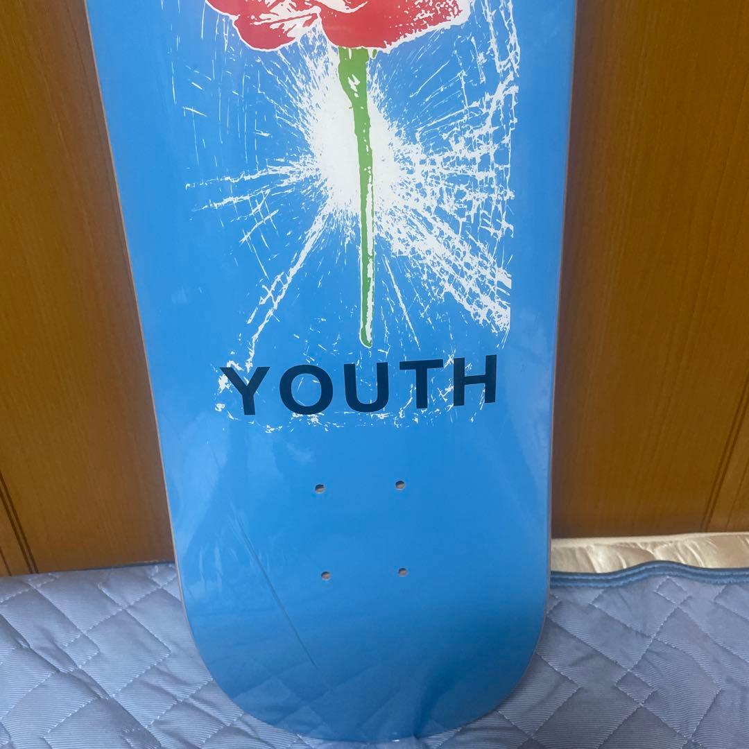 @*i様 wasted youth スケボーデッキ　8.0 verdy