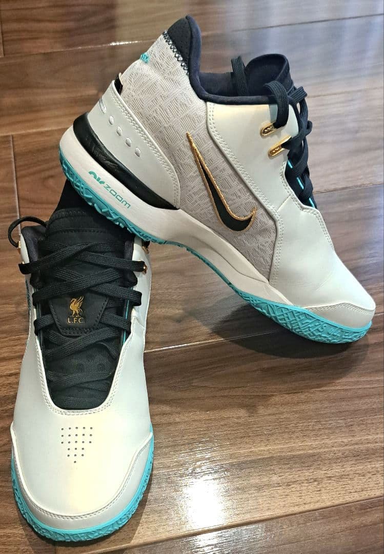 【希少サイズ・美品】NIKE LEBRON NXXT GEN AMPD EP