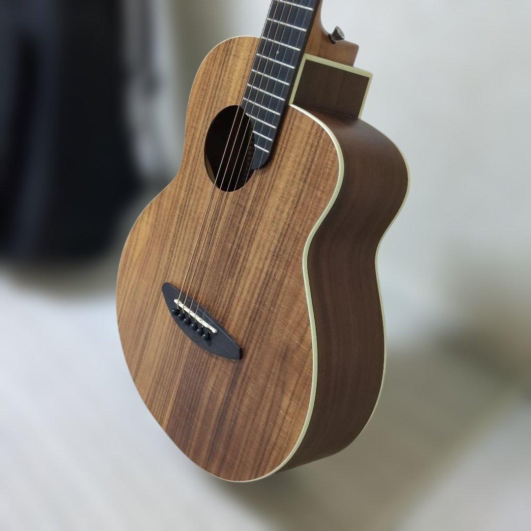 【超美品】aNueNue Bird M 3 アコースティックギター＆ギターケース