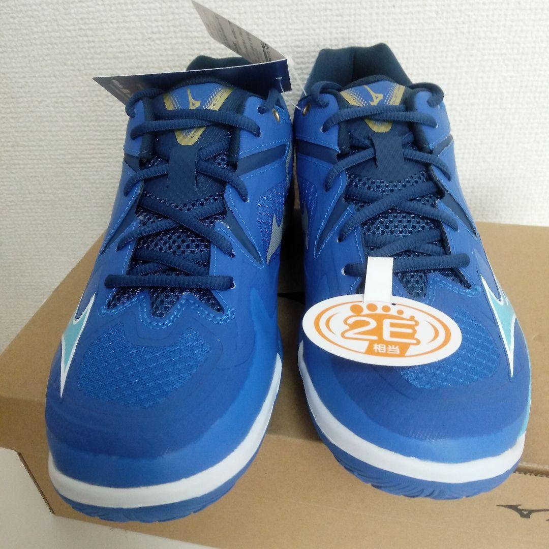 新品　MIZUNO　バドミントンウェーブクロー3フィット　シューズ　24.5