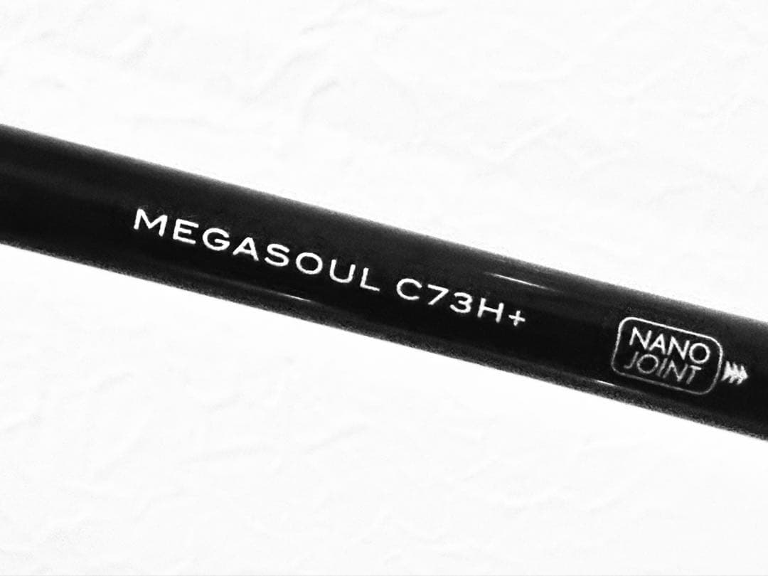 APIA MEGASOUL グランデージ メガソウル C73H+ シーバスロッド
