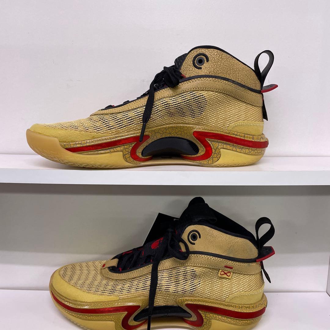 NIKE エアジョーダン XXXVI SE RUI 八村塁29cm新品難有り