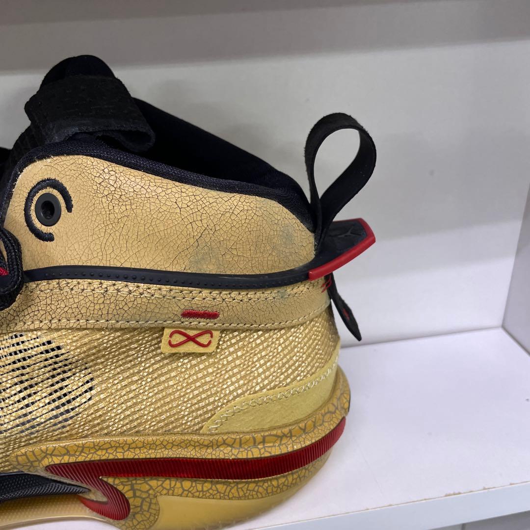 NIKE エアジョーダン XXXVI SE RUI 八村塁29cm新品難有り