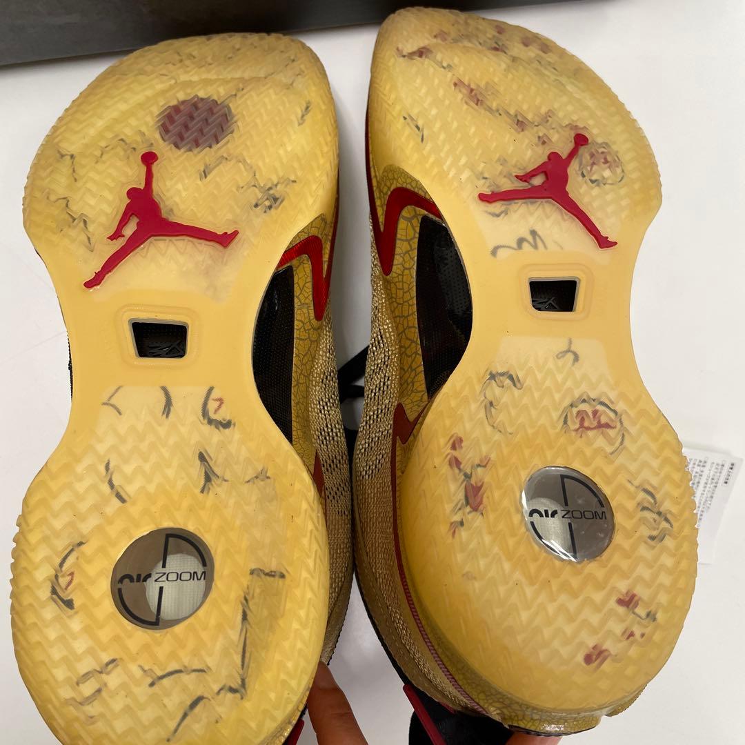 NIKE エアジョーダン XXXVI SE RUI 八村塁29cm新品難有り