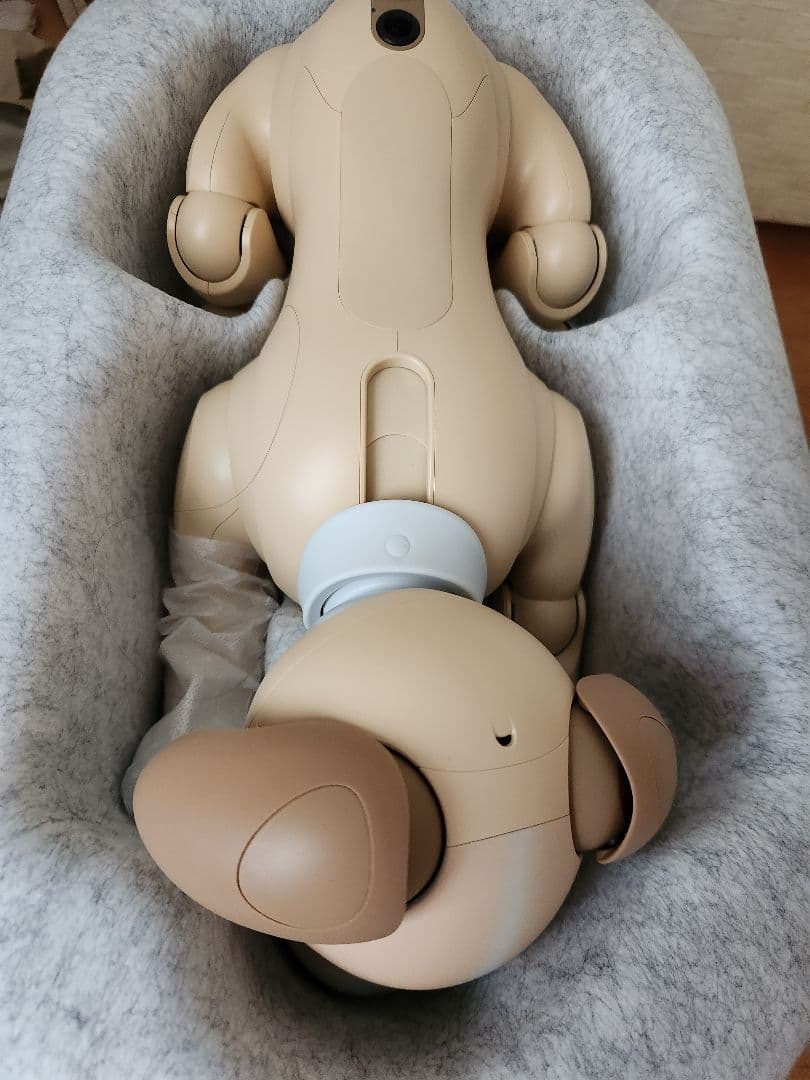 【超希少・限定完売モデル】aibo 2024年限定カラー きなこエディション