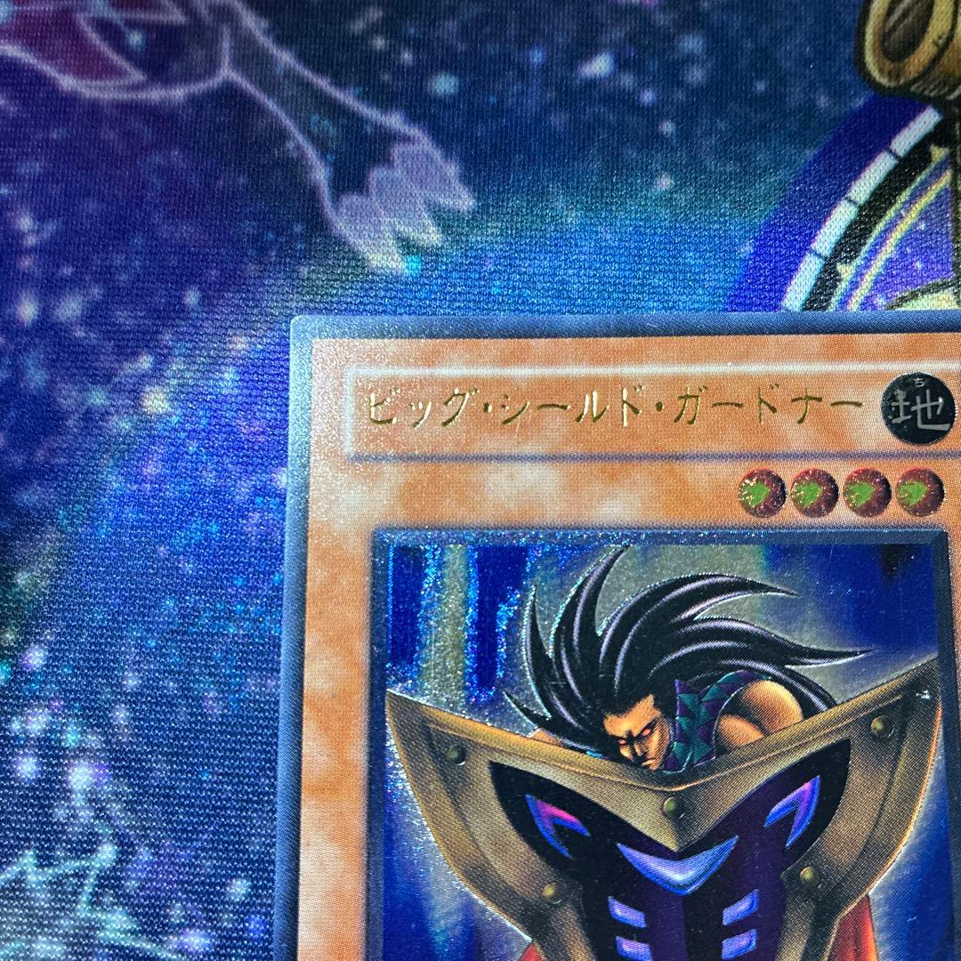 ビッグシールドガードナー