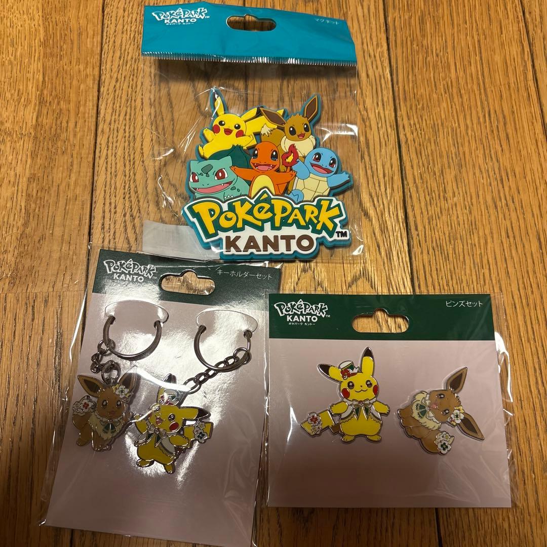 ポケパークカントー限定　ピンズ　キーホルダー　ピカチュウ・イーブイ
