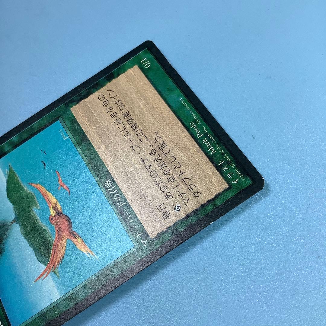 極楽鳥/Birds of Paradise 4ED日本語
