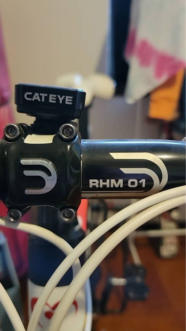 DE ROSA(デローサ) R848 ロードバイク カーボン