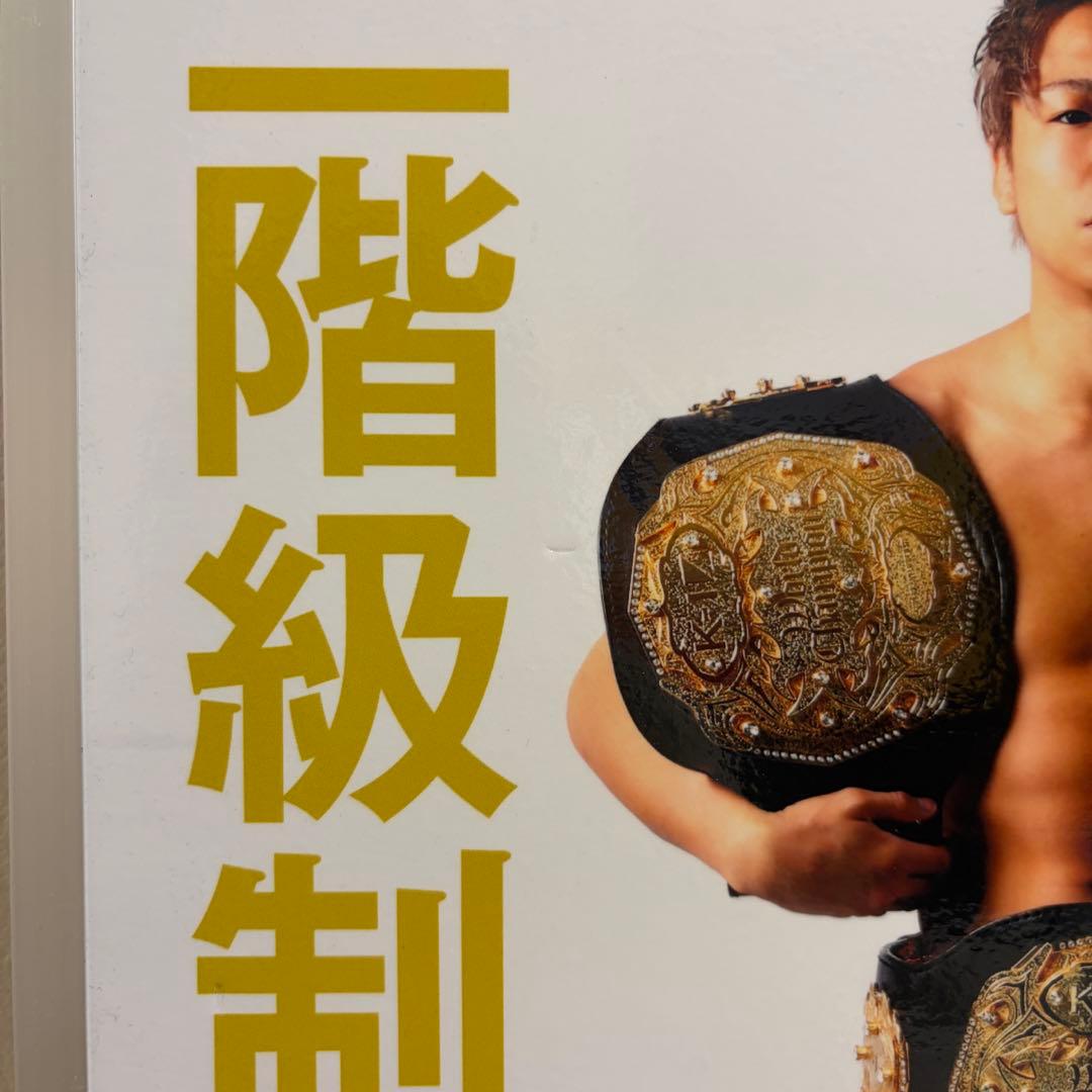 武尊 3階級制覇 直筆サインパネル