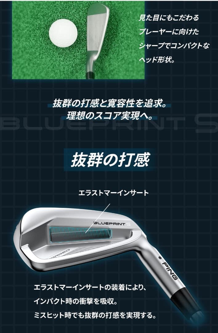 PINGブループリントS　DynamicGOLDTOURイッシュS200希少美品