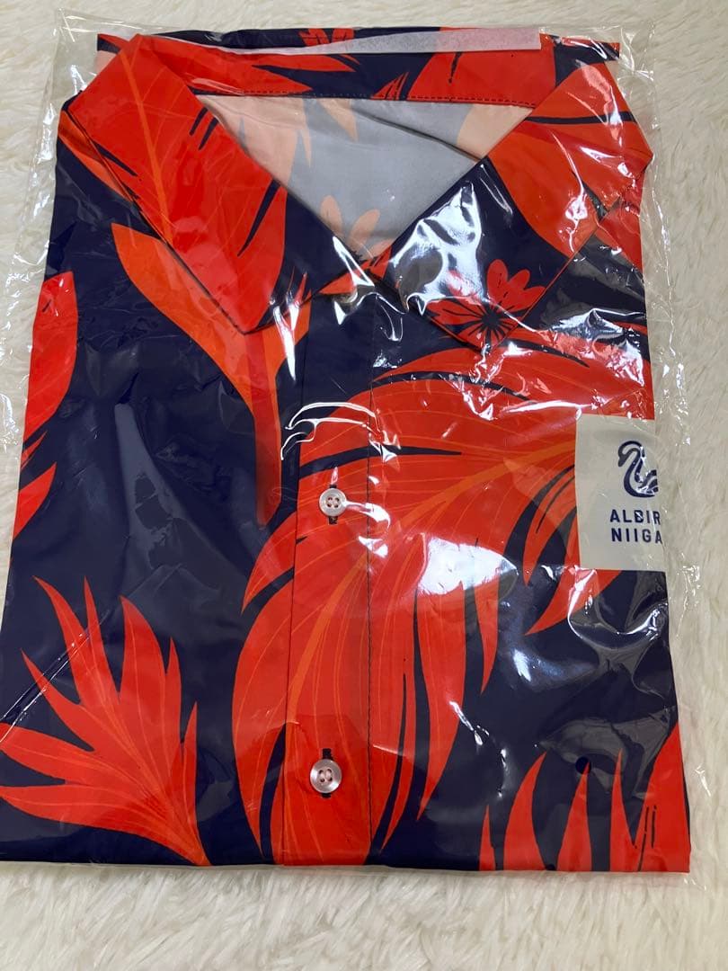 アルビレックス新潟応援グッズ　来場者特典8点セット非売品　記念グッズ