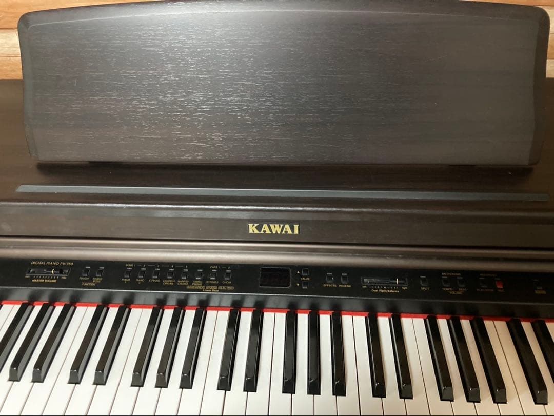 タモです。