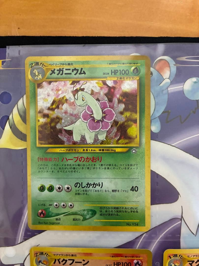 ポケットモンスター金・銀発売記念 プレミアムファイル ポケモンカード