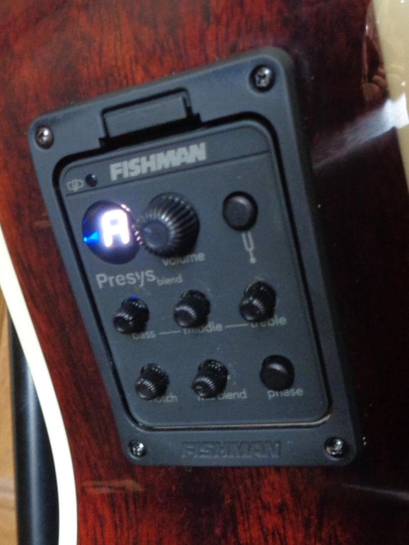 James J-350C EBU　Fishman製ピックアップ　美品　付属品有り