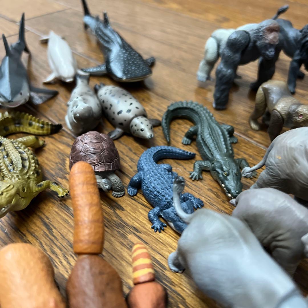 アニア　タカラトミー 動物・恐竜フィギュアセット