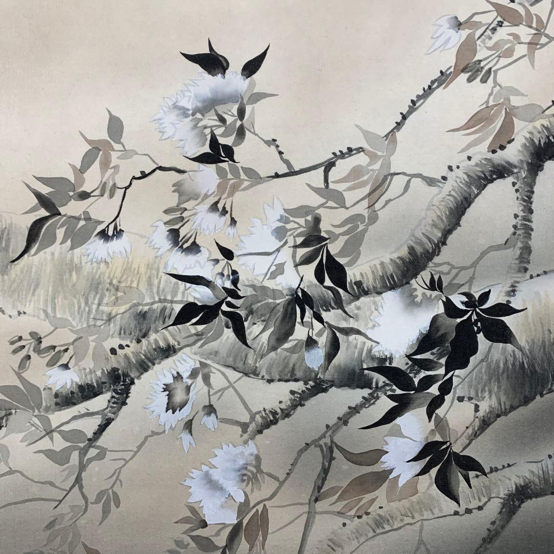 美品 掛け軸 杉浦契雪作 夜桜図 共箱 縁起物