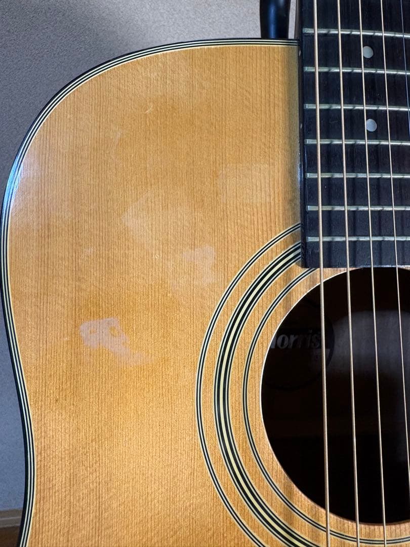 Morris MD-502 アコースティックギター