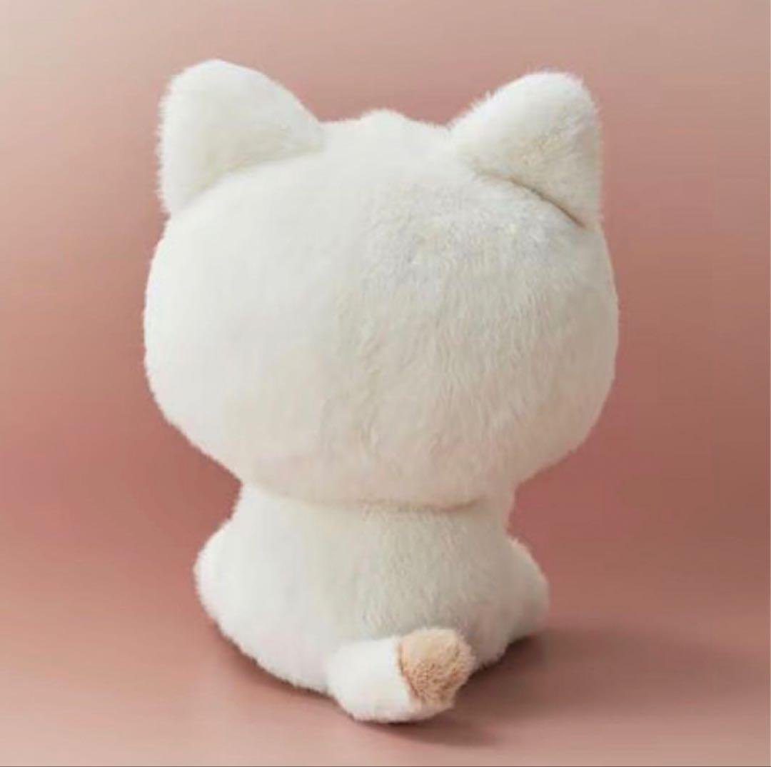ZB1 ゼベワン テレ テニニ zeroni ミディアムぬいぐるみ