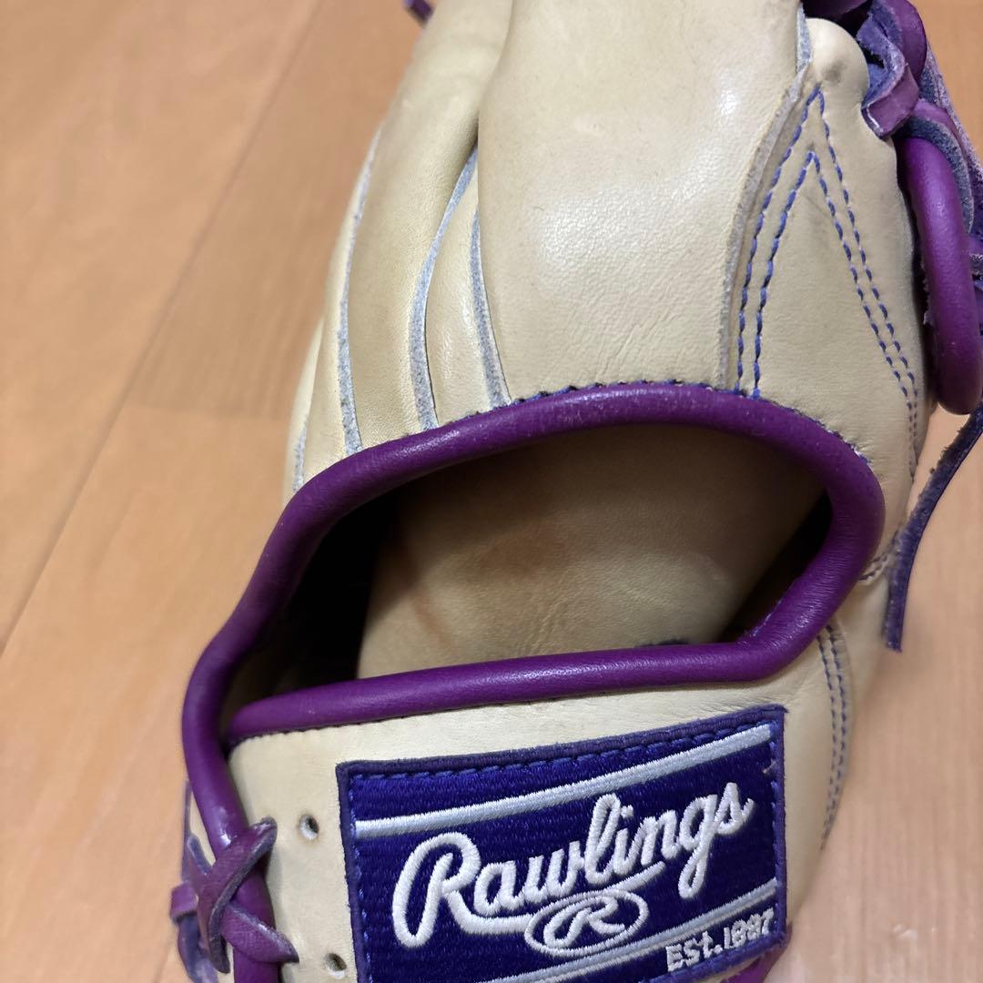 Rawlings Pro Excel 軟式グローブ キャメル/パープル